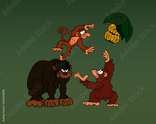 Collaboration amongst monkeys