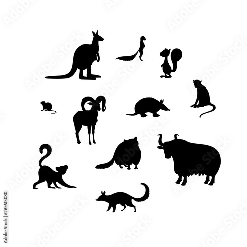 Set of animal s silhouettes. Kangaroo  xerus  squirrel  vole  urial  armadillo  macaque  lemur  raccoon  yak  numbat