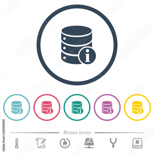 Database info flat color icons in round outlines photo