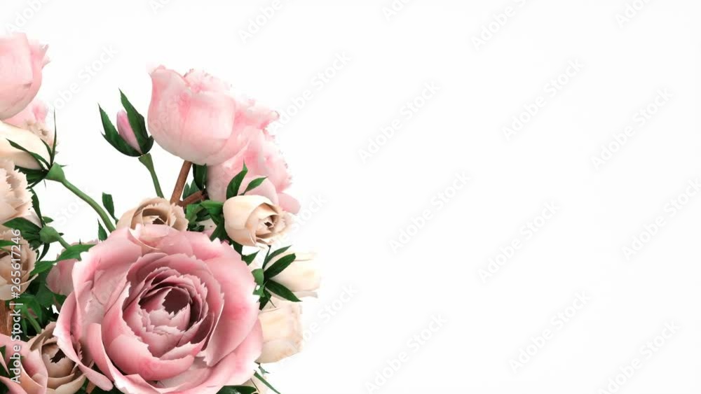 bouquet of pink roses rotates on the left side of the screen, alpha channel transparency bouquet of pink roses rotates on the left side of the screen, alpha channel transparency