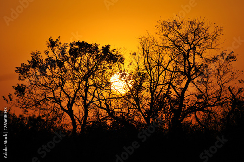 Itumbiara Cerrado Goias Por do Sol