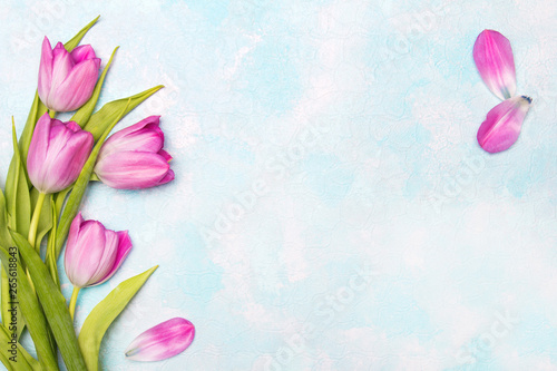 Fototapeta Naklejka Na Ścianę i Meble -  Tulip flowers on blue  background, copy space. A beautiful spring bouquet of pink flowers