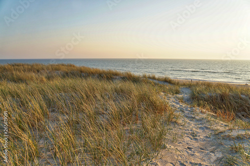 Nordsee, Strand, Meer, Küste, Dünen, Urlaub