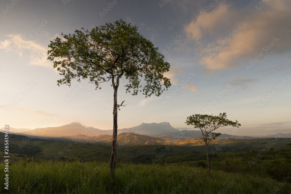 Fototapeta premium First Light at The Rolling Hills