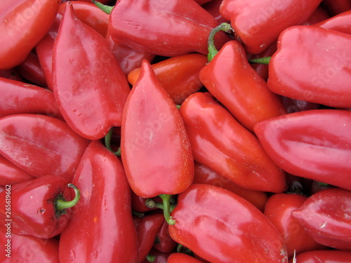 Looking for the red peppers to cook the piquillo appetizer type tapas very popular in Spain photo