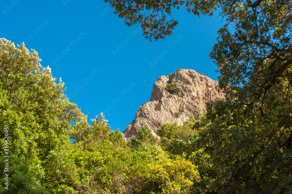 Mountain landscape in the Massif de l'Ésterel near Antheor