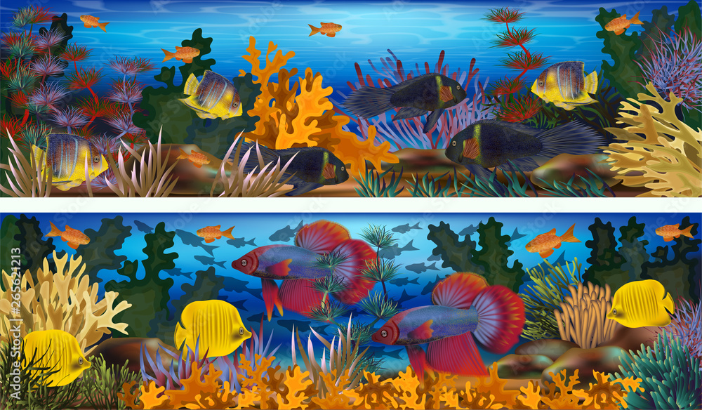 Underwater horizontal banners with algae and tropical fish, vector illustration