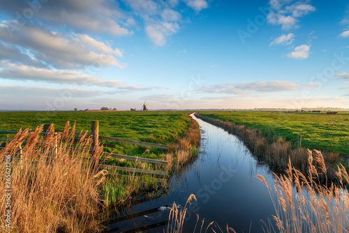 Looking out to Halvergate Mill on Berney Marshes photo
