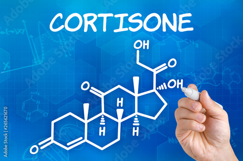 Hand with pen drawing the chemical formula of cortisone photo