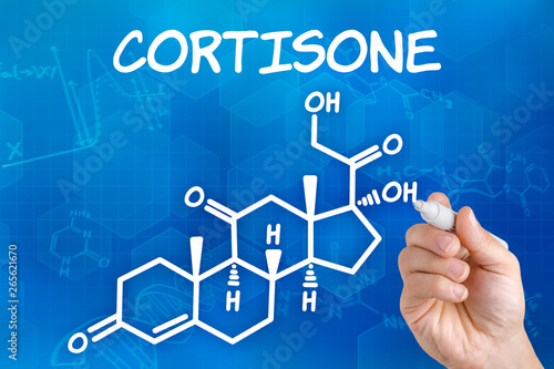 Hand with pen drawing the chemical formula of cortisone
