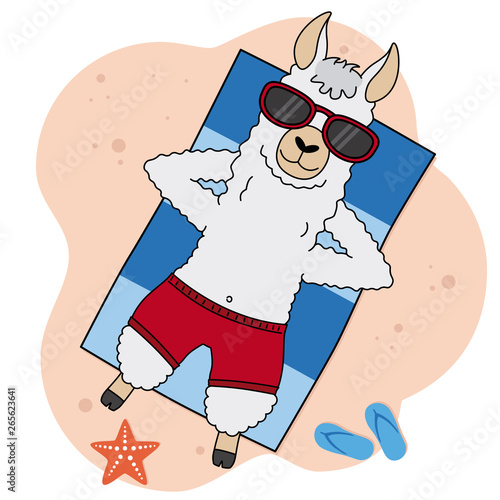 Llama sunbathing on the beach