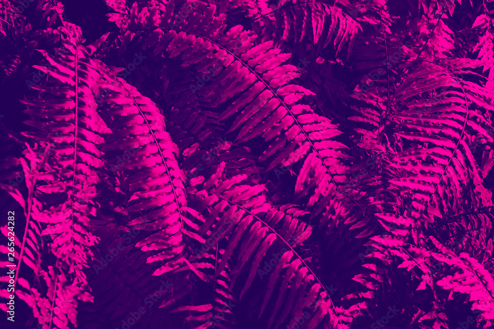 Green tropical leaves background toned in deep purple color