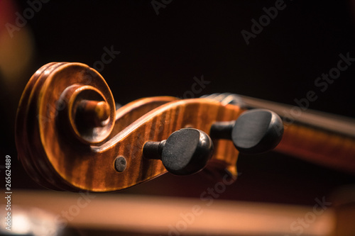 Double bass scroll and tuning pegs photo