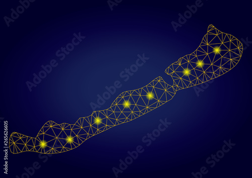 Yellow mesh vector Balaton Lake map with glare effect on a dark blue gradiented background. Abstract lines, light spots and dots form Balaton Lake map constellation.