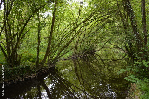 La Chapelle-sur-Erdre - La vall  e du Gesvres