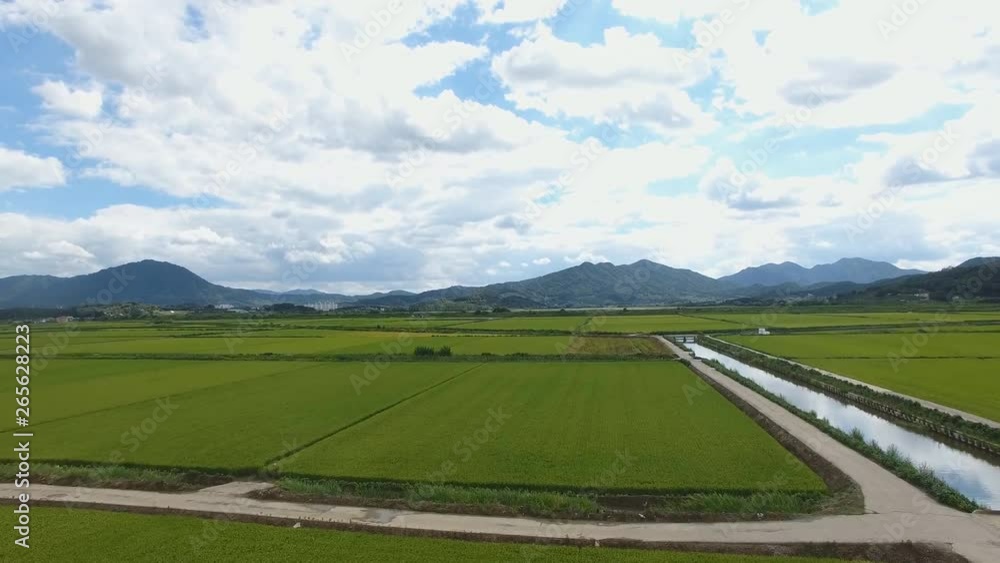 Junam Reservoir, Changwon-si, Gyeongnam, Korea (aerial photography) view of rice fields Junam Reservoir, Changwon-si, Gyeongnam, Korea (aerial photography) view of rice fields