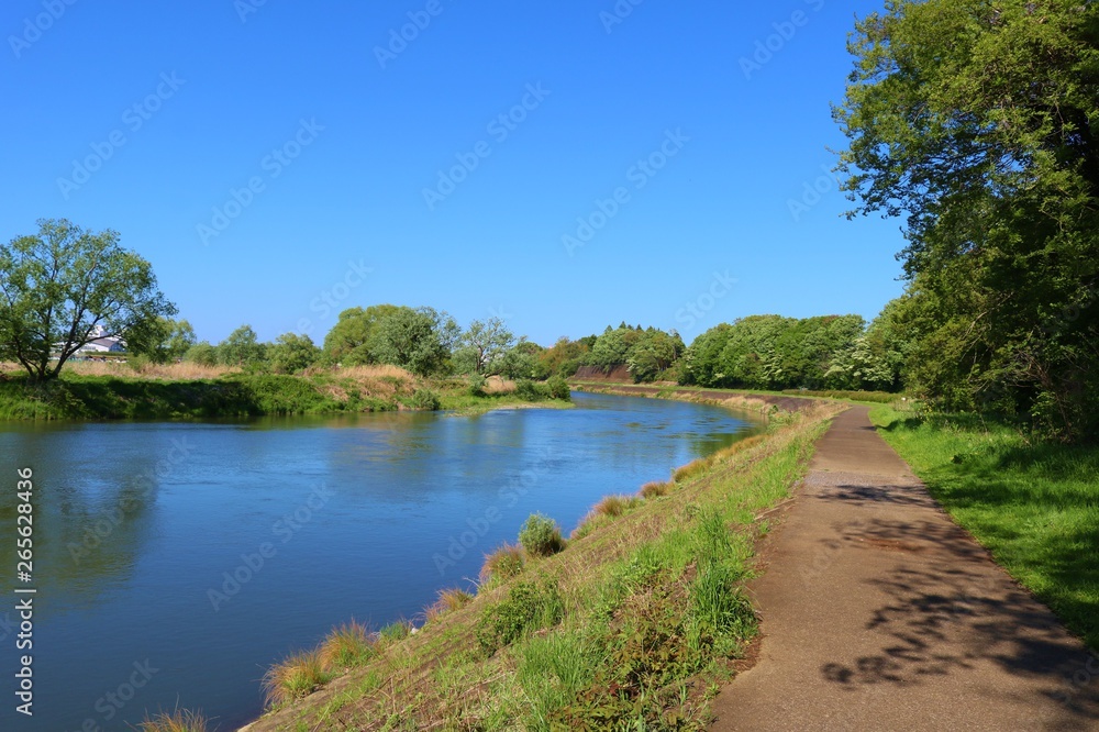 風景 新緑 川 野原 木 空 杤木 思川 風景 新緑 川 野原 木 空 杤木 思川