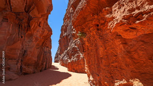 Deserto del Wadi Rum, Giordania