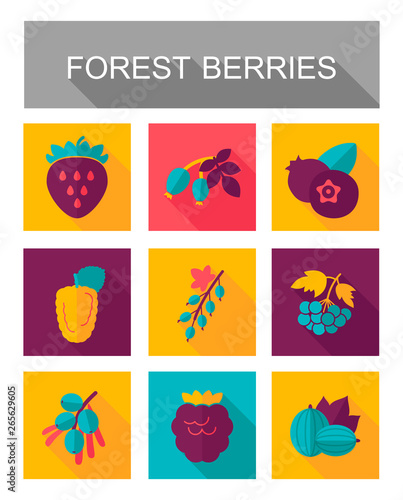 Forest berries icons set