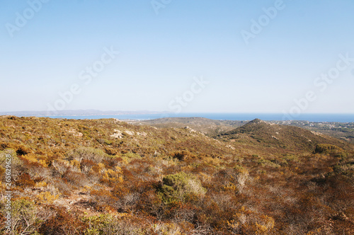 Summer steppe mountain landscape with dry yellow green bushes trees and grass under the scorching sun and blues sky.