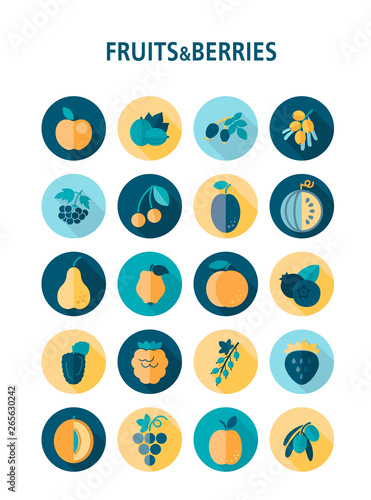 Set of Fruits and Berries icons set