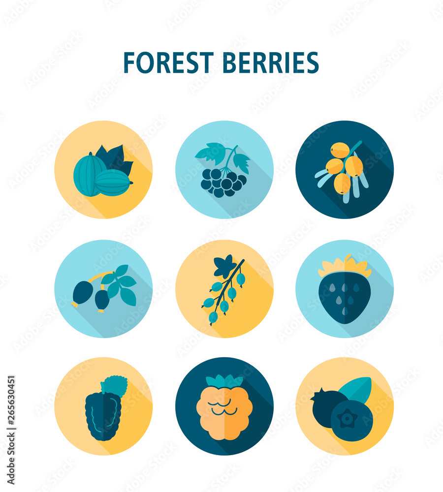 Forest berries icons set Forest berries icons set