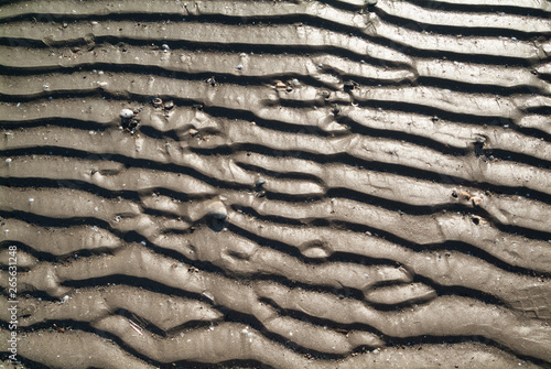 Regular shaped on the beach sand