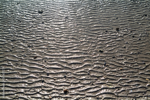 Regular shaped on the beach sand