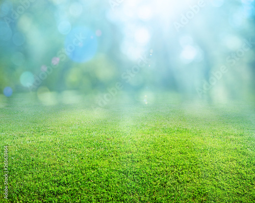 natural grass background