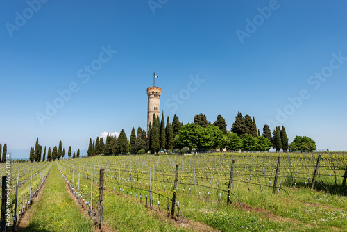 Monumental tower of San Martino della Battaglia - Italy photo