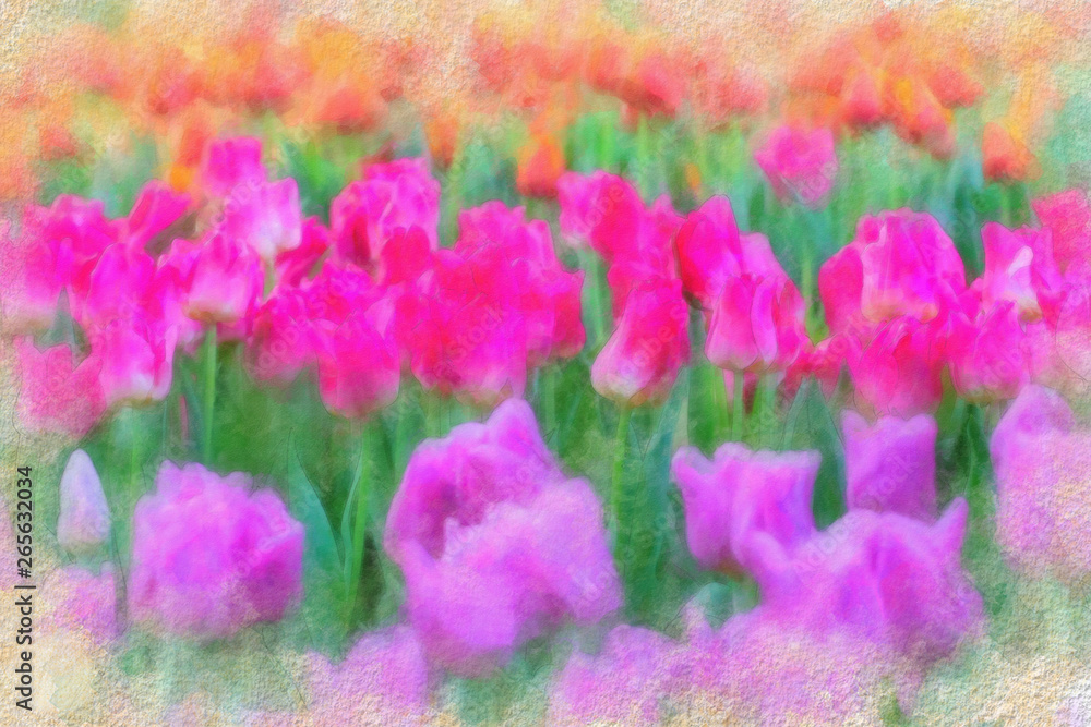 Colorful tulips flowers blooming in a garden. Image watercolor Colorful tulips flowers blooming in a garden. Image watercolor