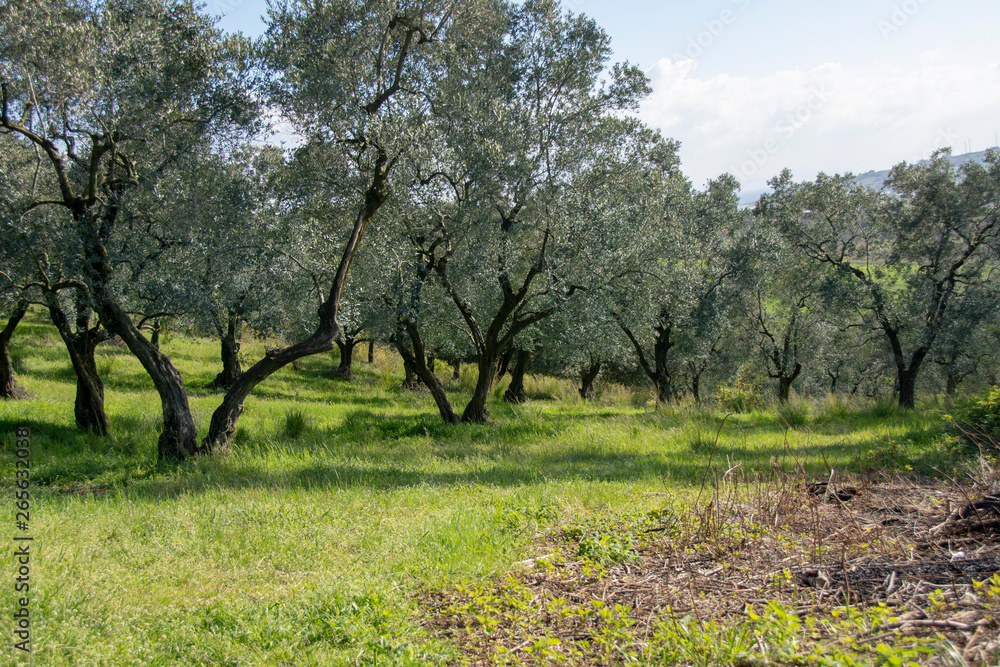 open land landscapes open land landscapes