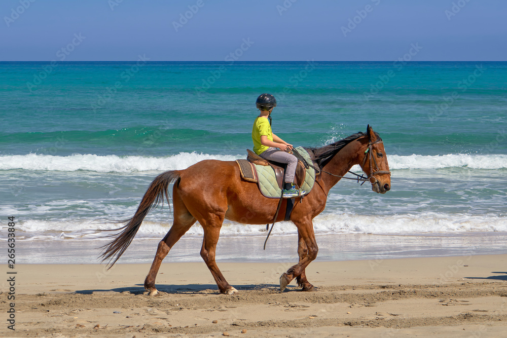 Young Man On Horseback In Front Of A Deep Blue Sea Young Man On Horseback In Front Of A Deep Blue Sea