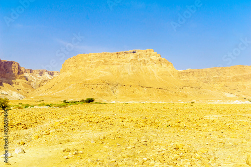 Masada fortress and the Judean Desert