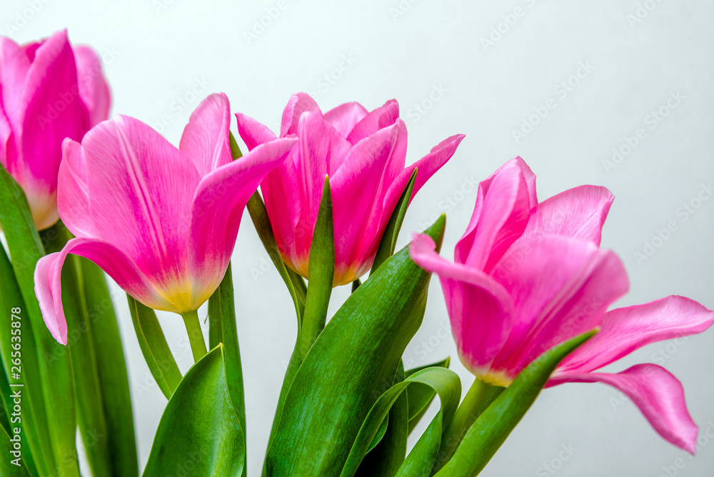 Naklejka premium Bouquet of pink tulips on white background 