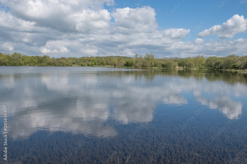 Eglinton Loch Irvine Scotland