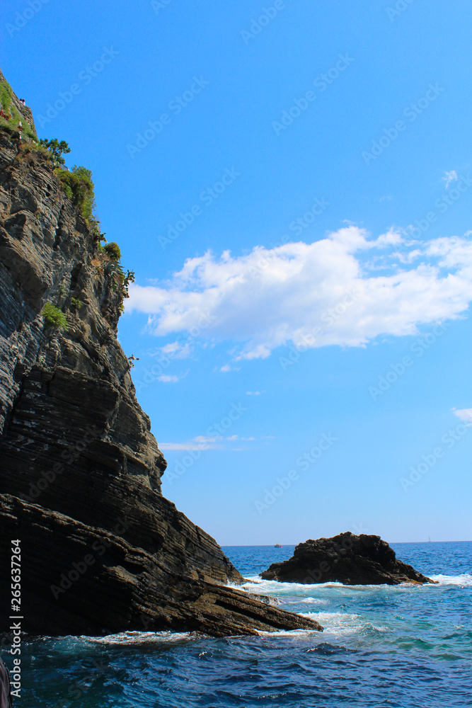 Cliff in Cinque Terre (Italy)