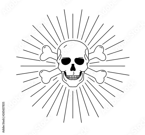 outline graphic illustration of human scull hand drawn
