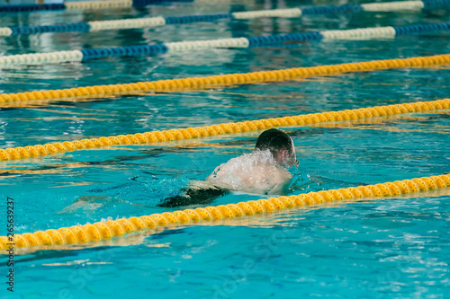 Crawl swimming competitions in the sports pool