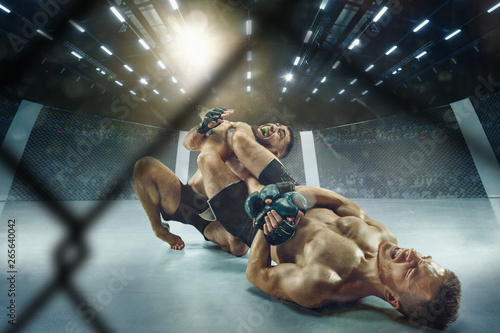 Gorąca atmosfera Dwóch zawodowych zawodników pozujących na sportowym ringu bokserskim Para sprawnych, muskularnych sportowców rasy kaukaskiej lub bokserów rys