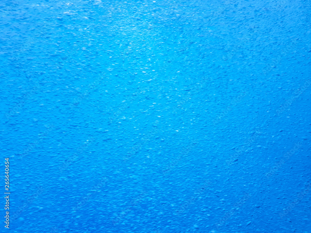 Image of the seabed with fish and natural life on the ferry between Benidorm and the island of Benidorm, Spain. Image of the seabed with fish and natural life on the ferry between Benidorm and the island of Benidorm, Spain.