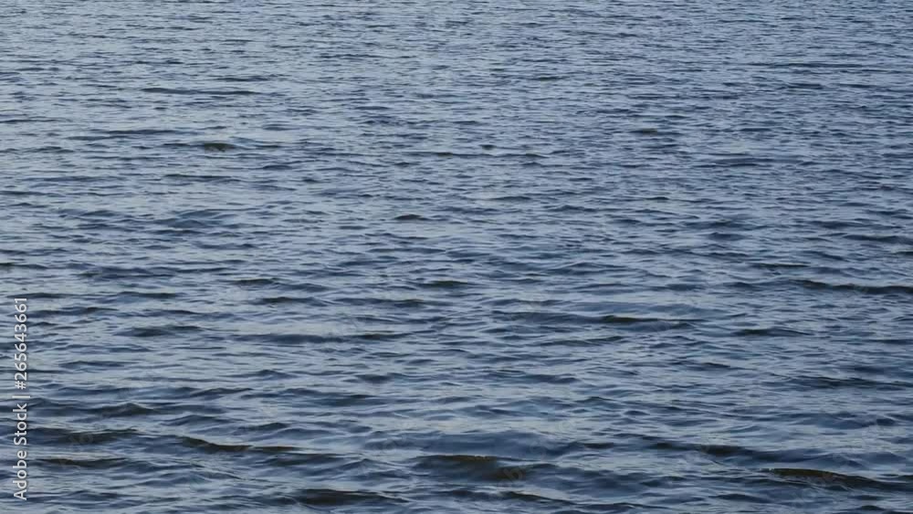 Water surface with small waves moving in the direction of the wind Water surface with small waves moving in the direction of the wind