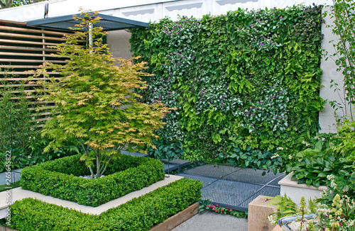 A small urban environmental Eco garden with a vertical living plant wall