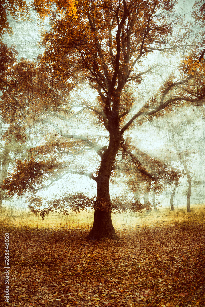 Abstract tree with grunge effect