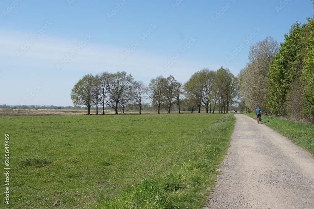 road in the countryside,Wiehengebirge,Radfahrer,biker