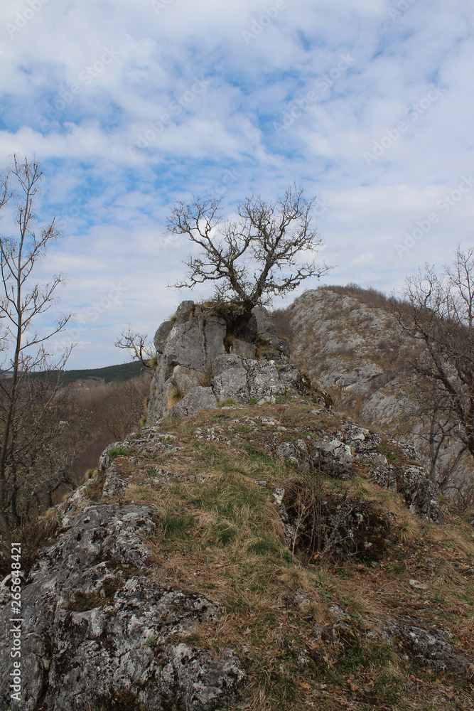 The ruins of an ancient stone Klek fortress on the hill near Zlatar mountain, Serbia