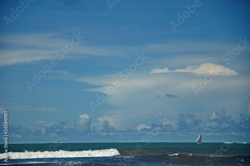 caminhos do mar