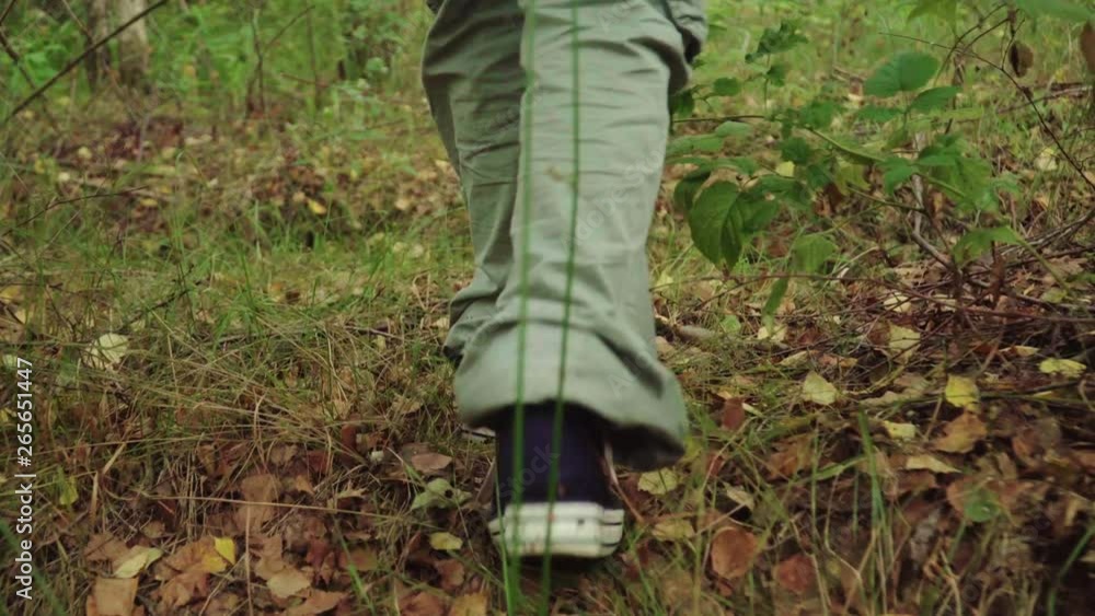 Close up of legs of walking travelers in forest. Tourists in forest Close up of legs of walking travelers in forest. Tourists in forest
