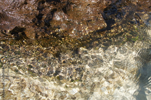 Seashore with clear water near the coast close up.