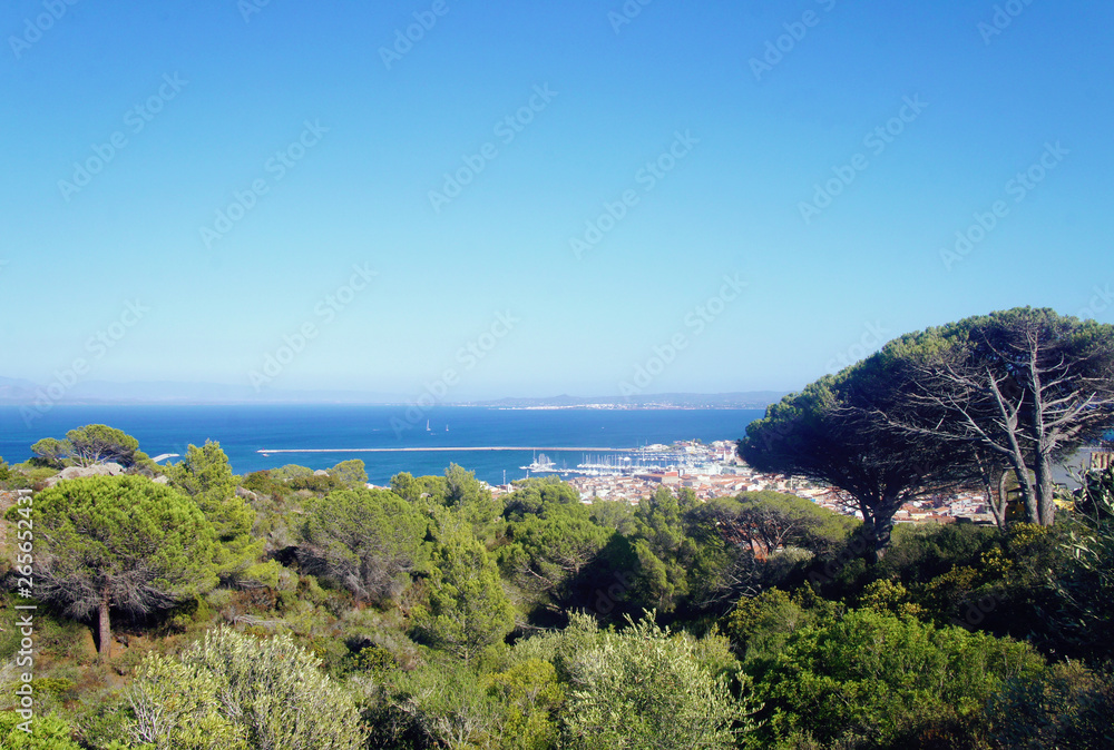 Obraz premium Southern green landscape view of the seashore with blue sky.